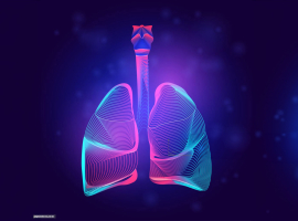 Lungs
