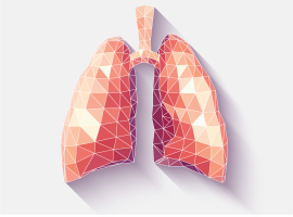 Lungs